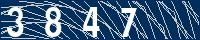 Your Captcha Code is: Three, Eight, Four, Seven.