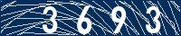 Your Captcha Code is: Three, Six, Nine, Three.